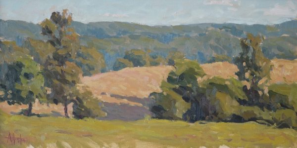 houston shape of land 1